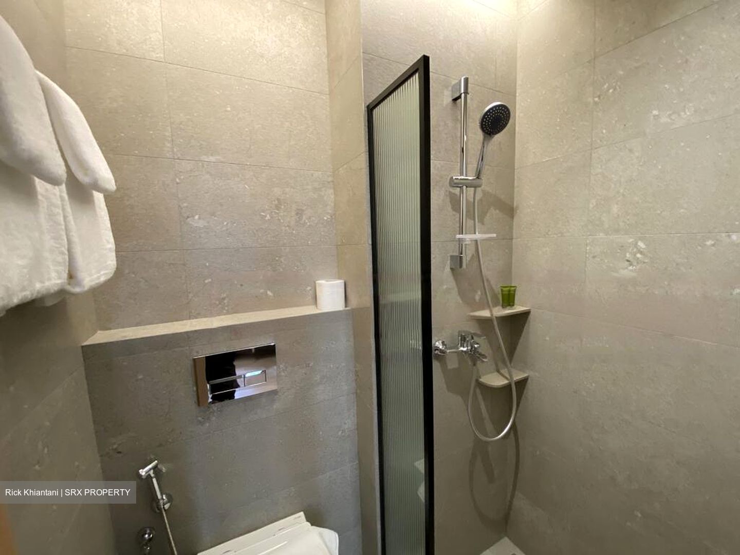 Orchard Road (D9), Condominium #466050601